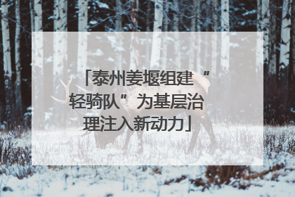 泰州姜堰组建“轻骑队”为基层治理注入新动力
