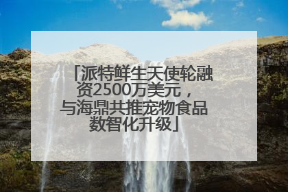 派特鲜生天使轮融资2500万美元，与海鼎共推宠物食品数智化升级