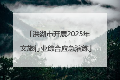 洪湖市开展2025年文旅行业综合应急演练