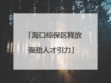 海口综保区释放强劲人才引力