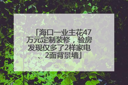 海口一业主花47万元定制装修，验房发现仅多了2样家电、2面背景墙