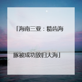 海南三亚：糙齿海豚被成功放归大海