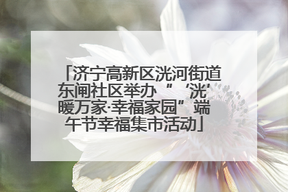济宁高新区洸河街道东闸社区举办“‘洸’暖万家·幸福家园”端午节幸福集市活动