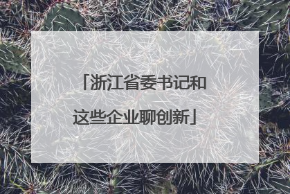 浙江省委书记和这些企业聊创新