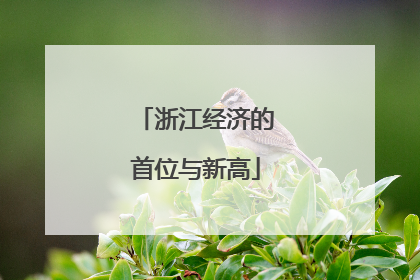 浙江经济的首位与新高