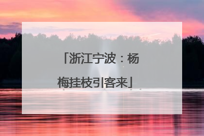 浙江宁波：杨梅挂枝引客来