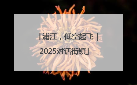 浦江，低空起飞｜2025对话街镇