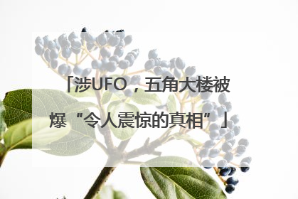 涉UFO，五角大楼被爆“令人震惊的真相”
