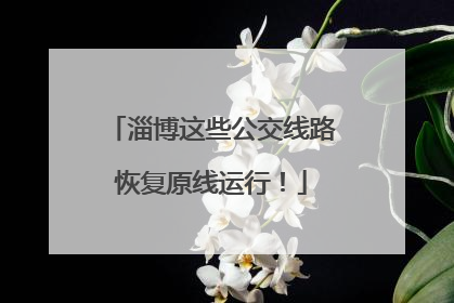 淄博这些公交线路恢复原线运行！
