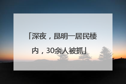 深夜，昆明一居民楼内，30余人被抓