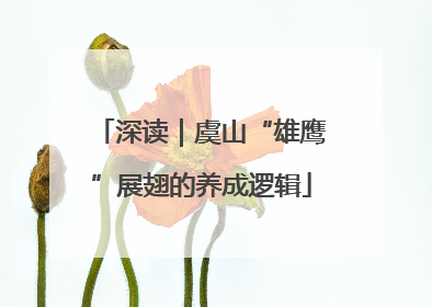 深读｜虞山“雄鹰”展翅的养成逻辑