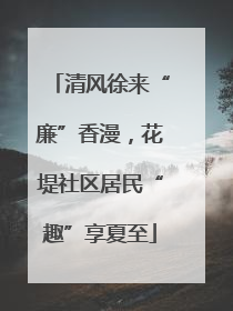 清风徐来“廉”香漫，花堤社区居民“趣”享夏至