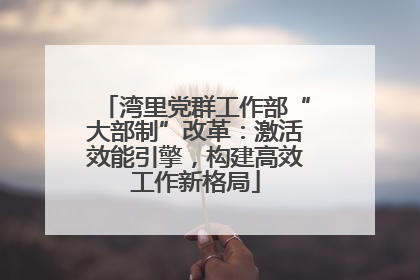 湾里党群工作部“大部制”改革：激活效能引擎，构建高效工作新格局
