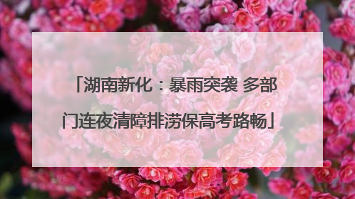 湖南新化：暴雨突袭 多部门连夜清障排涝保高考路畅