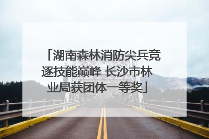 湖南森林消防尖兵竞逐技能巅峰 长沙市林业局获团体一等奖