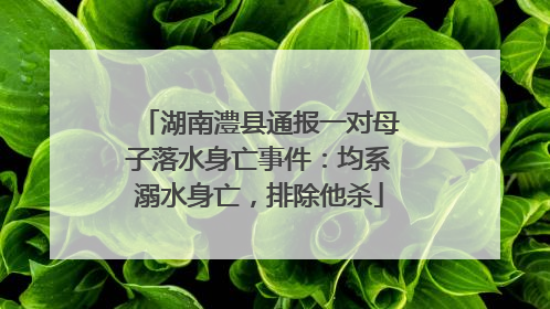 湖南澧县通报一对母子落水身亡事件：均系溺水身亡，排除他杀