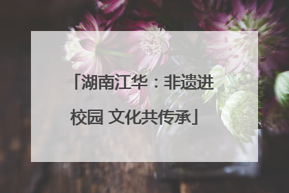 湖南江华：非遗进校园 文化共传承