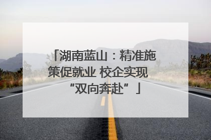 湖南蓝山：精准施策促就业 校企实现“双向奔赴”