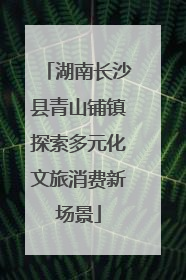 湖南长沙县青山铺镇探索多元化文旅消费新场景