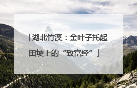 湖北竹溪：金叶子托起田埂上的“致富经”