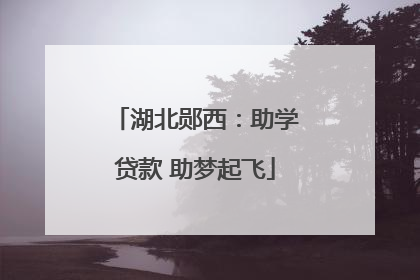 湖北郧西：助学贷款 助梦起飞