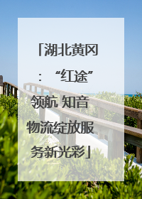 湖北黄冈：“红途”领航 知音物流绽放服务新光彩