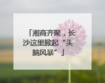 湘商齐聚，长沙这里掀起“头脑风暴”