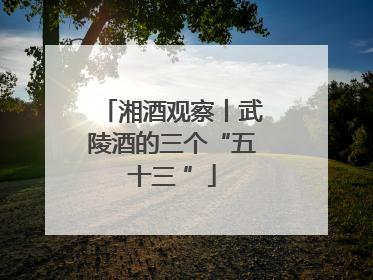 湘酒观察丨武陵酒的三个“五十三 ”