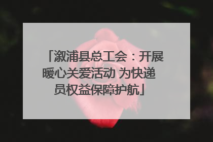 溆浦县总工会：开展暖心关爱活动 为快递员权益保障护航