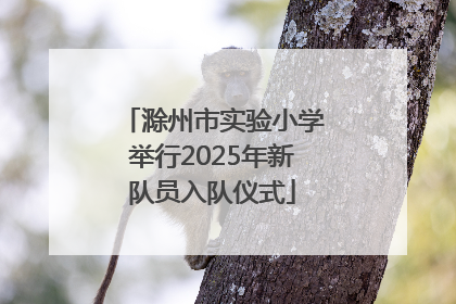 滁州市实验小学举行2025年新队员入队仪式