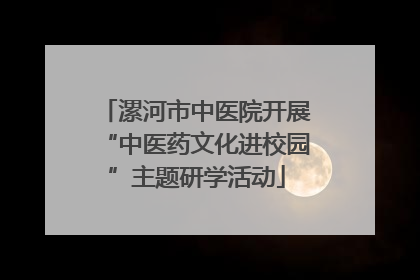 漯河市中医院开展“中医药文化进校园”主题研学活动