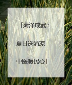 菏泽成武：夏日送清凉 中医暖民心