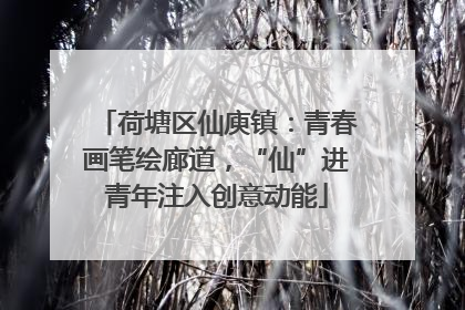 荷塘区仙庾镇：青春画笔绘廊道，“仙”进青年注入创意动能
