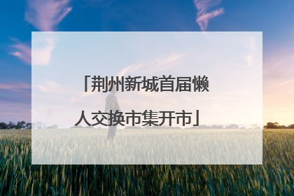 荆州新城首届懒人交换市集开市