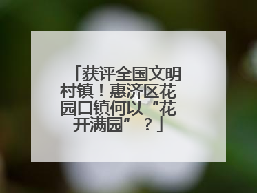 获评全国文明村镇！惠济区花园口镇何以“花开满园”？