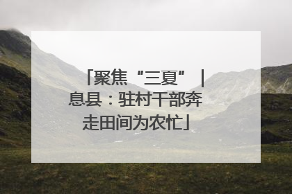 聚焦“三夏”｜息县：驻村干部奔走田间为农忙