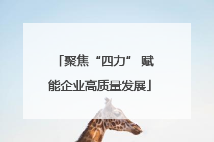 聚焦“四力” 赋能企业高质量发展
