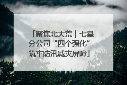 聚焦北大荒｜七星分公司“四个强化”筑牢防汛减灾屏障
