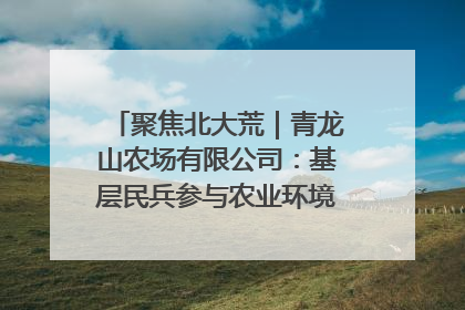 聚焦北大荒｜青龙山农场有限公司：基层民兵参与农业环境综合治理显效