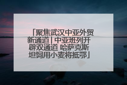 聚焦武汉中亚外贸新通道│中亚班列开辟双通道 哈萨克斯坦饲用小麦将抵鄂