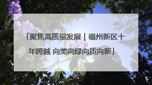 聚焦高质量发展｜福州新区十年跨越 向美向绿向质向新