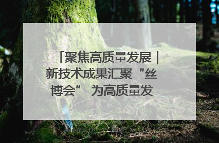 聚焦高质量发展｜新技术成果汇聚“丝博会” 为高质量发展注入新动能