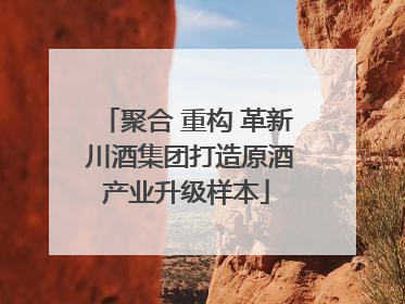 聚合 重构 革新 川酒集团打造原酒产业升级样本