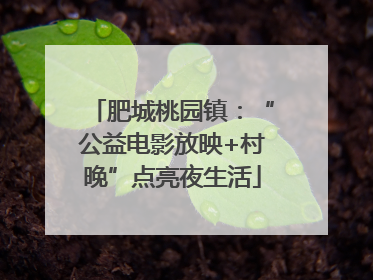 肥城桃园镇：“公益电影放映+村晚”点亮夜生活