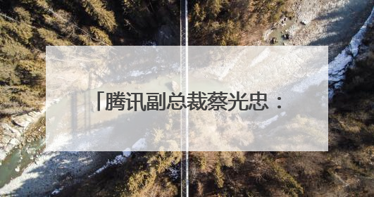 腾讯副总裁蔡光忠：“一带一路”背景下推动AI可持续发展