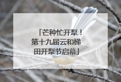 芒种忙开犁！第十九届云和梯田开犁节启幕