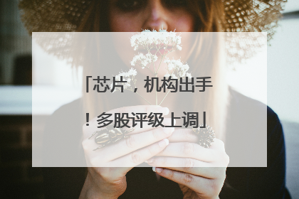 芯片，机构出手！多股评级上调