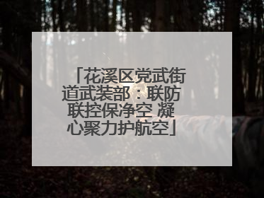 花溪区党武街道武装部：联防联控保净空 凝心聚力护航空