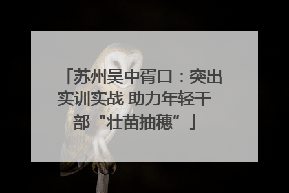 苏州吴中胥口：突出实训实战 助力年轻干部“壮苗抽穗”