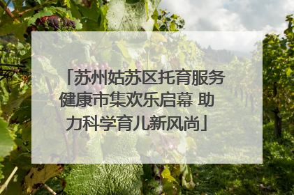 苏州姑苏区托育服务健康市集欢乐启幕 助力科学育儿新风尚